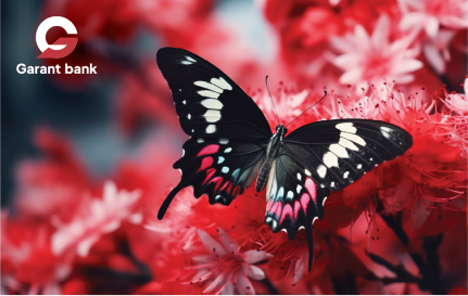 Uzcard 66f13787a6be1